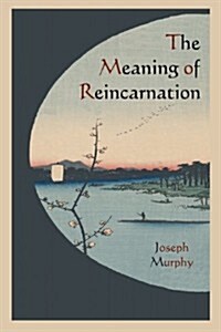 The Meaning of Reincarnation (Paperback)