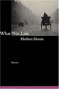 What Was Lost: Poems (Hardcover)