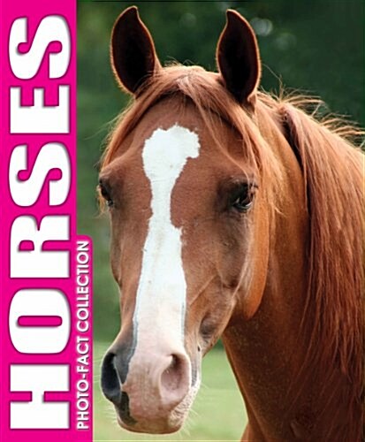 Horses Photo Fact Collection (Hardcover)