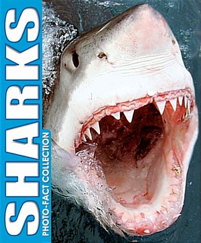 Sharks Photo Fact Collection (Hardcover)