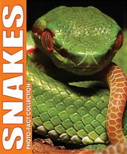 Snakes Photo Fact Collection (Hardcover)