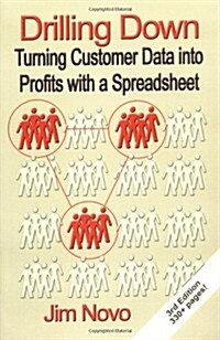 Drilling Down: Turning Customer Data Into Profits with a Spreadsheet - Third Edition (Paperback, 3)