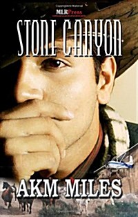Stone Canyon (Paperback)