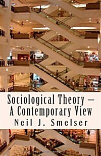 Sociological Theory - A Contemporary View: How to Read, Criticize and Do Theory (Paperback)
