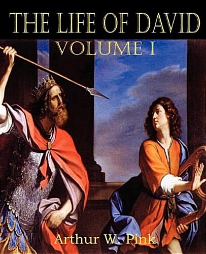 The Life of David Volume I (Paperback)