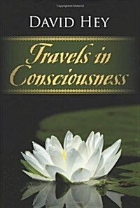 Travels in Consciousness (Paperback)