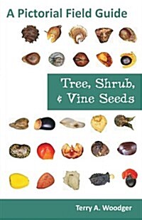 Tree, Shrub, and Vine Seeds: A Pictorial Field Guide (Paperback)