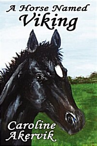 A Horse Named Viking (Paperback)