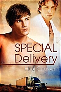 Special Delivery (Paperback, 1St Edition)