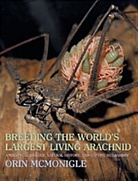 Breeding the Worlds Largest Living Arachnid: Amblypygid (Whipspider) Biology, Natural History, and Captive Husbandry (Hardcover)