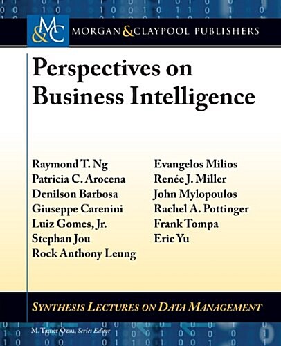 Perspectives on Business Intelligence (Paperback)