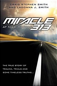 Miracle at Mile Marker 313 (Paperback)