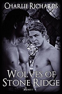 Wolves of Stone Ridge (Books 1 - 4) (Paperback)