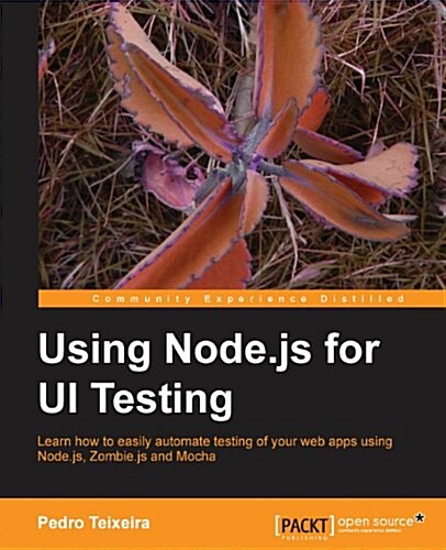 Testing Node.Js Web Uis (Paperback)