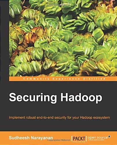 Securing Hadoop (Paperback)