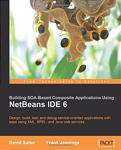 Netbeans Enterprise Pack: Building Soa Applications (Paperback)