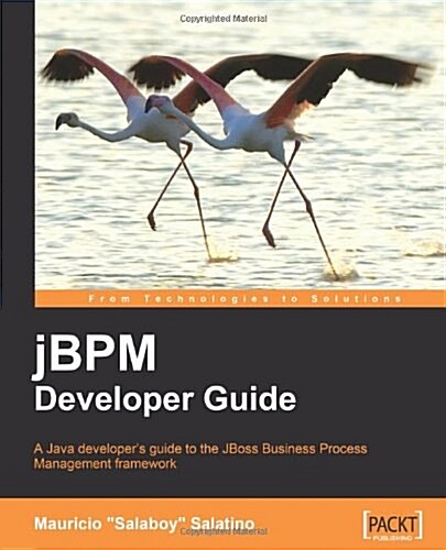 Jbpm Developer Guide (Paperback)