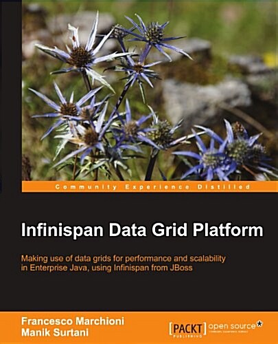 Infinispan Data Grid Platform (Paperback)