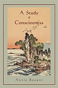 A Study in Consciousness: A Contribution to the Science of Psychology (Paperback)