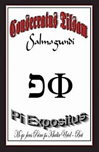 The Consecrated Talisman Salmagundi - The Pi Exponent (Paperback)