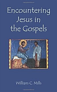 Encountering Jesus in the Gospels (Paperback)