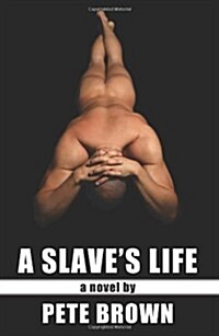 A Slaves Life (Paperback)