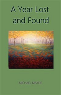 A Year Lost and Found (Paperback)