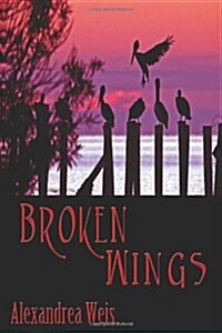 Broken Wings (Paperback)