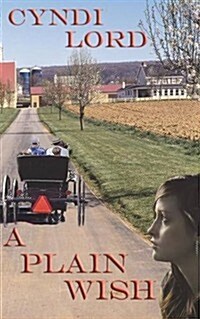 A Plain Wish (Paperback)