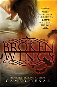 Broken Wings (Paperback)