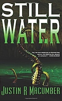 Still Water (Paperback)