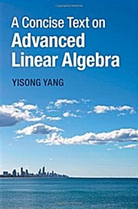 A Concise Text on Advanced Linear Algebra (Hardcover)