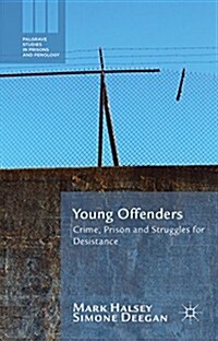 Young Offenders : Crime, Prison and Struggles for Desistance (Hardcover)