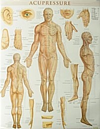 Acupressure Poster (22 X 28 Inches) - Laminated: Anatomy of Points for Acupressure & Acupunture (Other)
