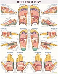 Reflexology Poster (22 X 28 Inches) - Laminated: A Quickstudy Anatomy Reference (Other)