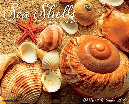 Sea Shells by the Seashore 18-Month 2015 Calendar (Paperback, Wall)