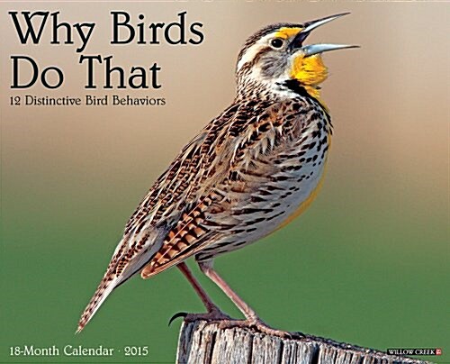 Why Birds Do That 18-Month 2015 Calendar (Paperback, Wall)