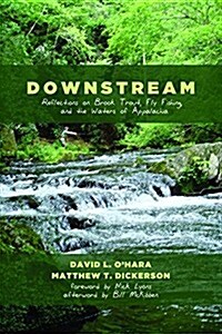 Downstream (Paperback)