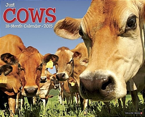 Just Cows 18-Month 2015 Calendar (Paperback, Wall)