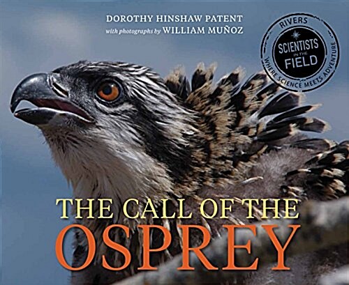 [중고] Call of the Osprey (Hardcover)