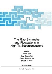 The Gap Symmetry and Fluctuations in High-Tc Superconductors (Paperback, Softcover Repri)