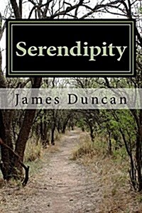 Serendipity (Paperback)
