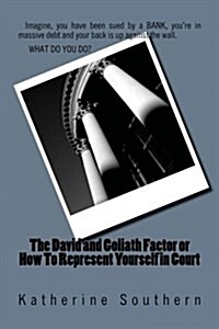 The David and Goliath Factor or How to Represent Yourself in Court (Paperback)