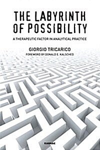 The Labyrinth of Possibility : A Therapeutic Factor in Analytical Practice (Paperback)