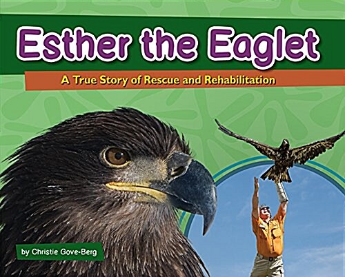 Esther the Eaglet: A True Story of Rescue and Rehabilitation (Hardcover)