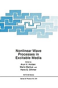 Nonlinear Wave Processes in Excitable Media (Paperback, Softcover Repri)