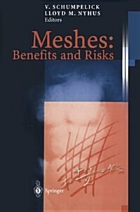 Meshes: Benefits and Risks (Paperback, Softcover Repri)