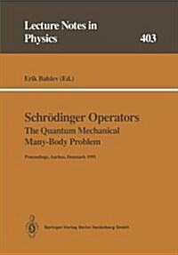 Schr?inger Operators the Quantum Mechanical Many-Body Problem: Proceedings of a Workshop Held at Aarhus, Denmark 15 May - 1 August 1991 (Paperback, Softcover Repri)