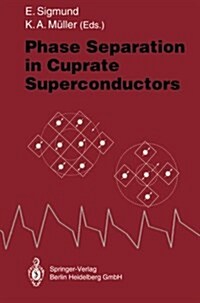 Phase Separation in Cuprate Superconductors: Proceedings of the Second International Workshop on Phase Separation in Cuprate Superconductors Septemb (Paperback, 1994)