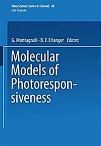 Molecular Models of Photoresponsiveness (Paperback)